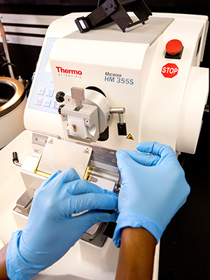Histotechnology lab equipment